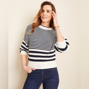 Ann Taylor Sweater Striped Navy and Winter White SP NWT